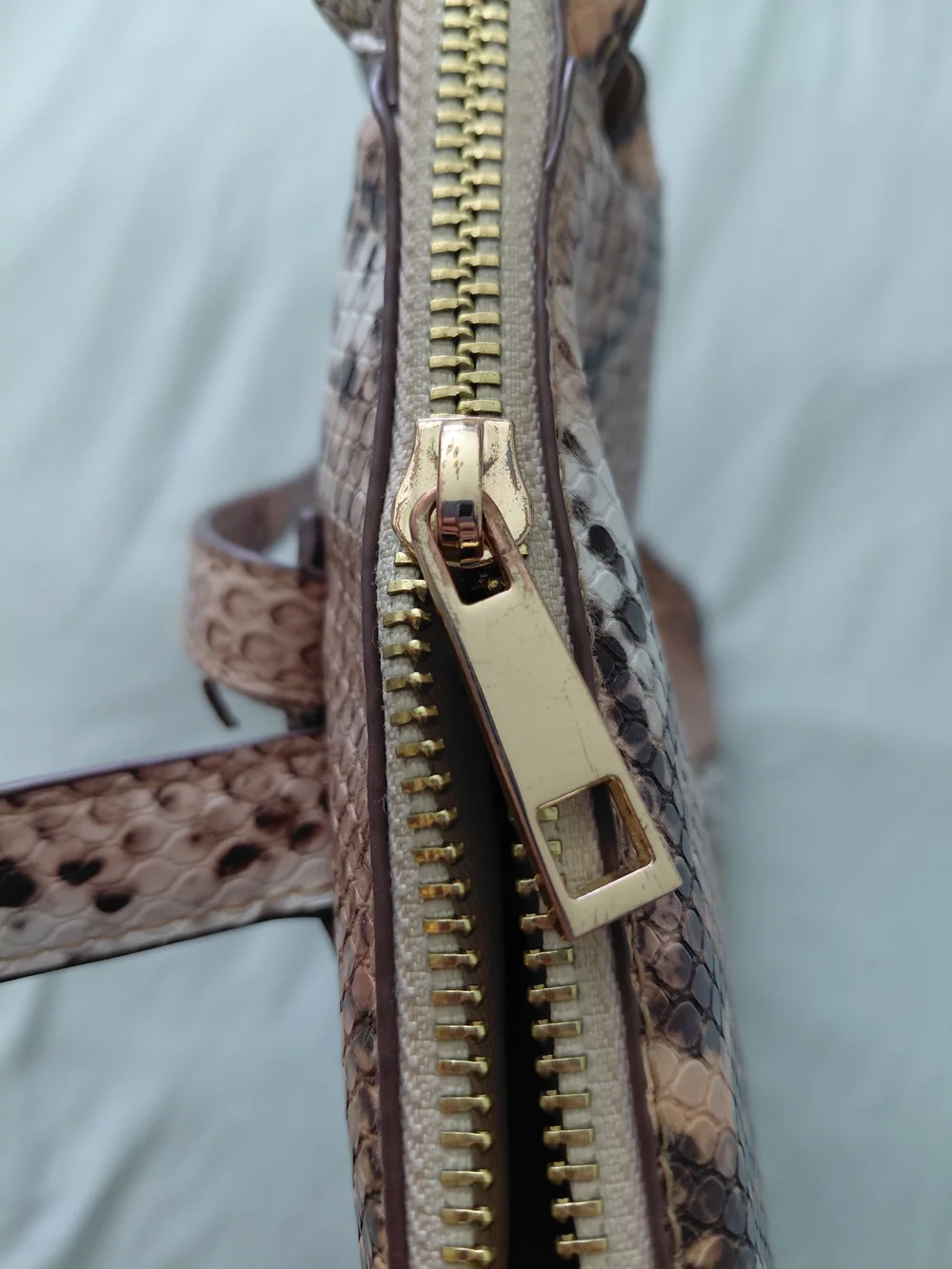 Snake-Print Backpack - Picture 5 of 11